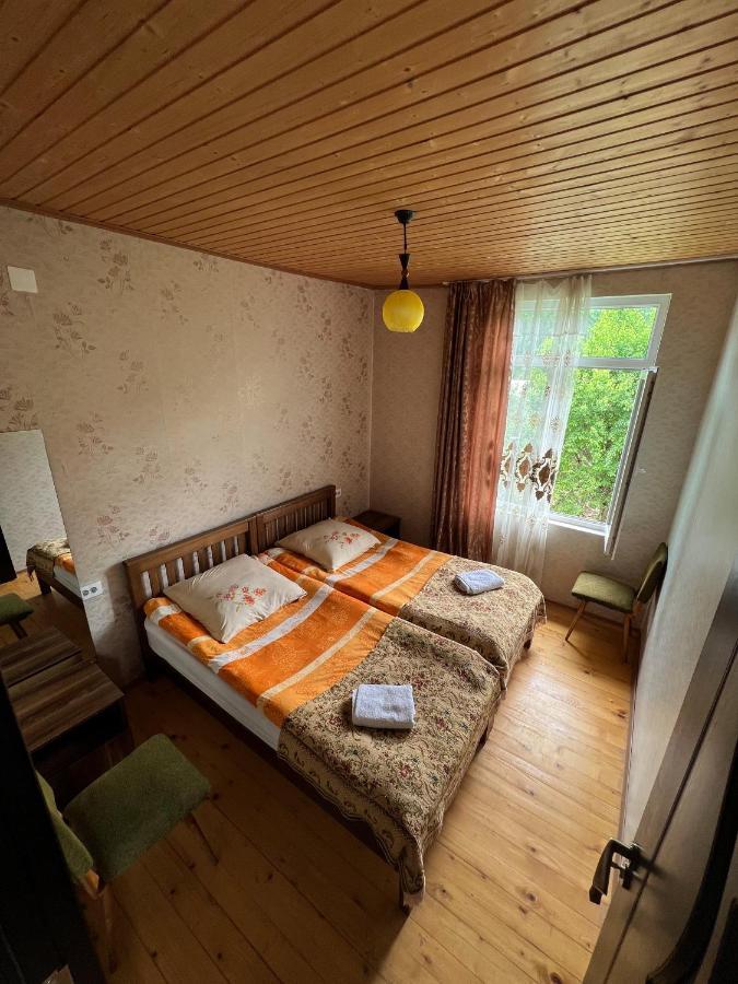 Barbara'S Eco-Cozy Guesthouse Mestia Ngoại thất bức ảnh
