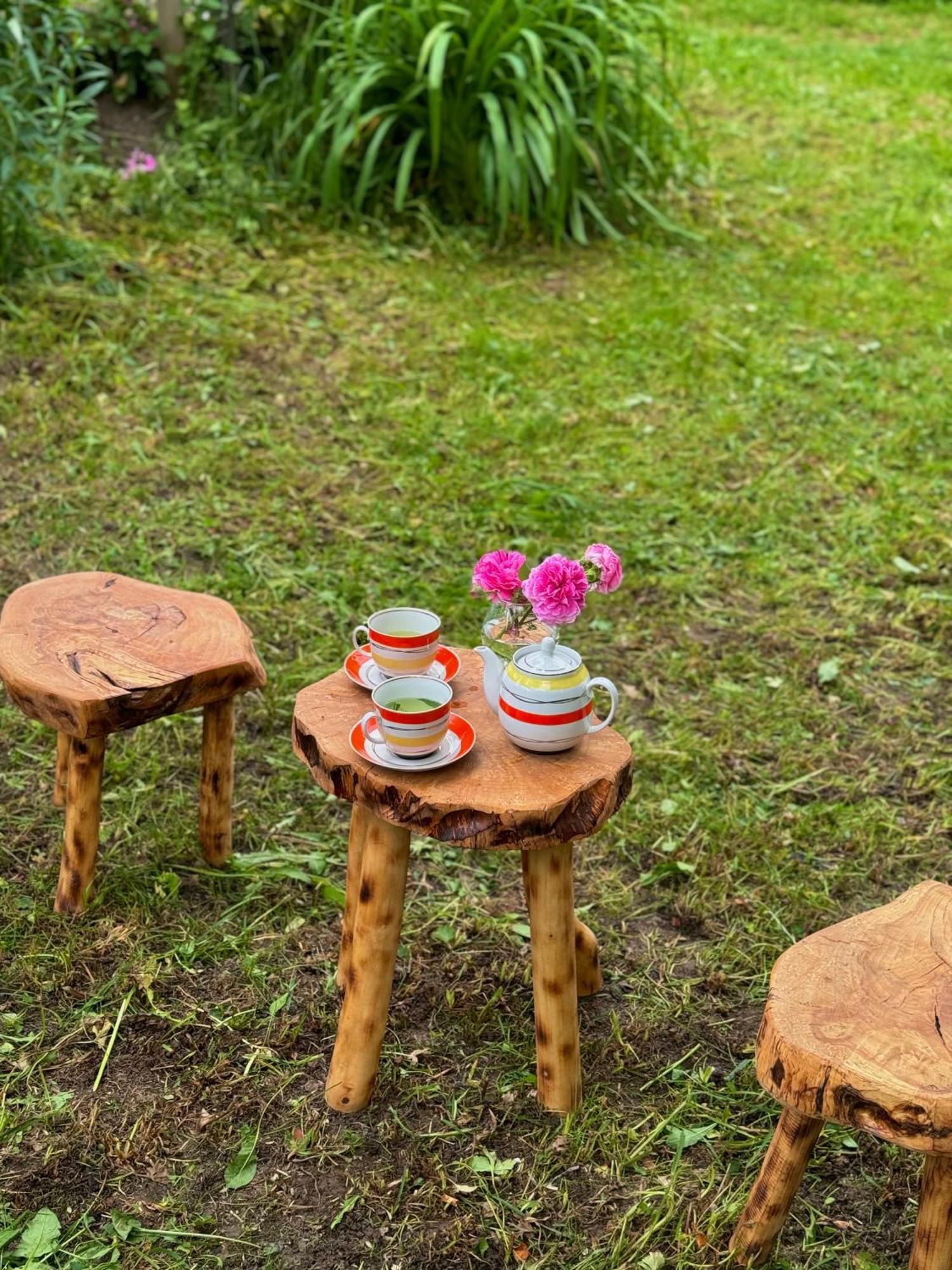 Barbara'S Eco-Cozy Guesthouse Mestia Ngoại thất bức ảnh